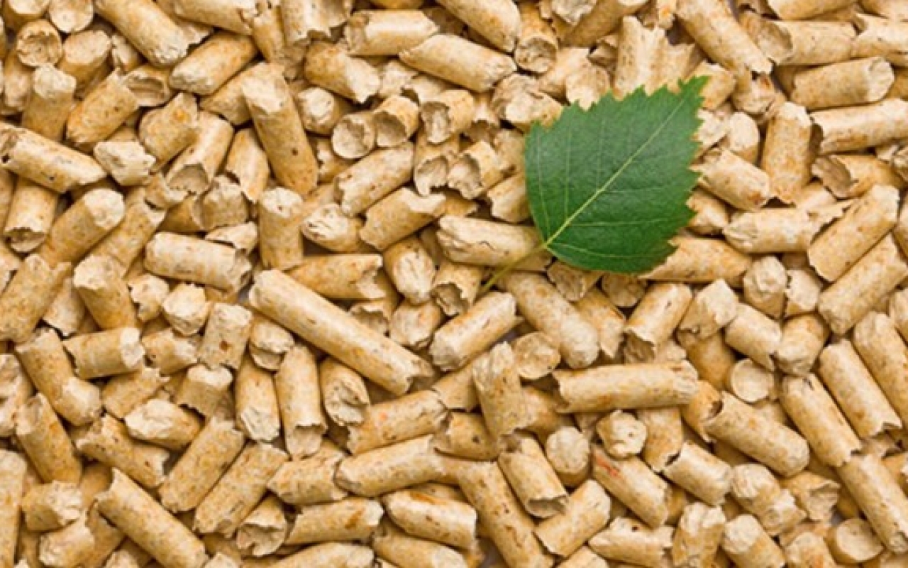 Der Rohstoff wächst immer und immer nach © proPellets Austria