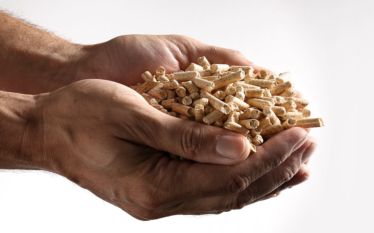 Pellets in den Händen © proPellets Austria