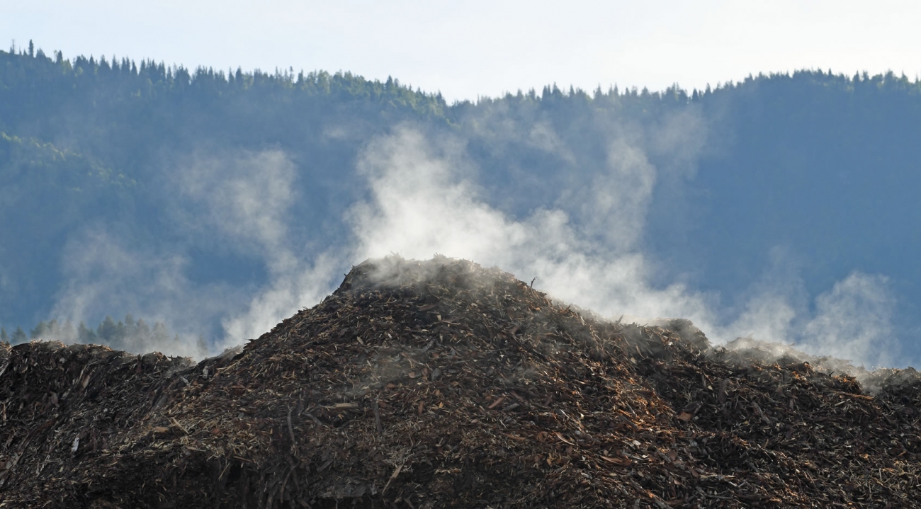 Aus der Natur © proPellets Austria