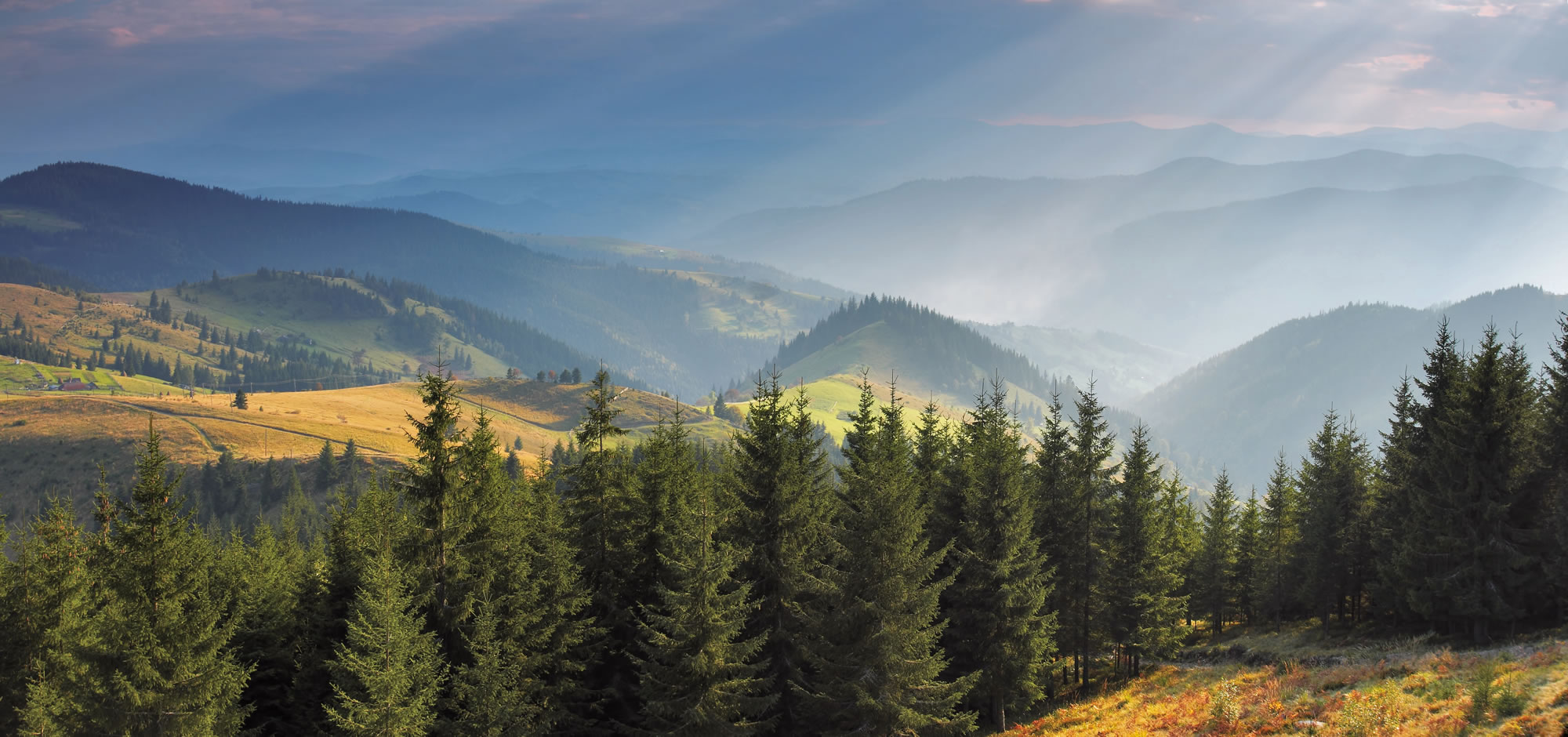 Holzpellets aus der Region von SPG Bio-Pellets in Altenmarkt im Pongau © shutterstock.com