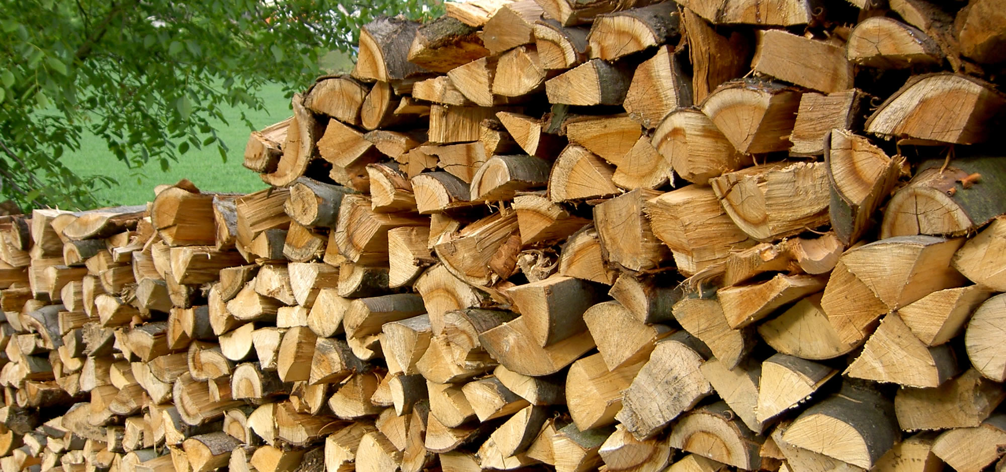 Holzscheit - Brennstoff aus der Natur von SPG Bio-Pellets © proPellets Austria