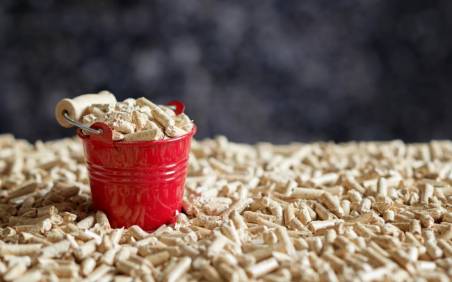 Der Rohstoff wächst immer und immer nach © proPellets Austria