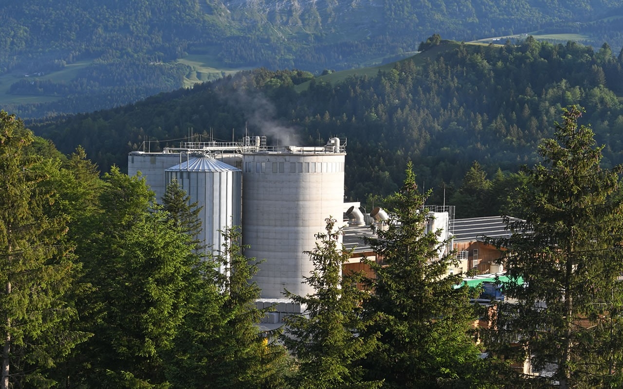 Die zwei Silotürme in Abtenau